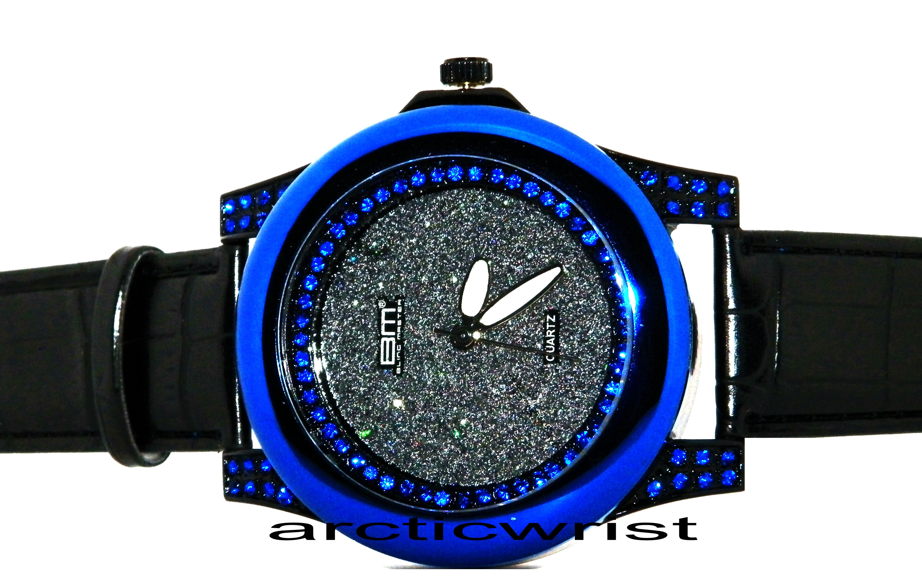 iced_out_watches_arcticwrist_com_dec29071.jpg
